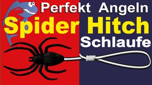 Video Spider Hitch