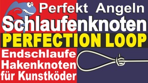 Video Perfection Loop